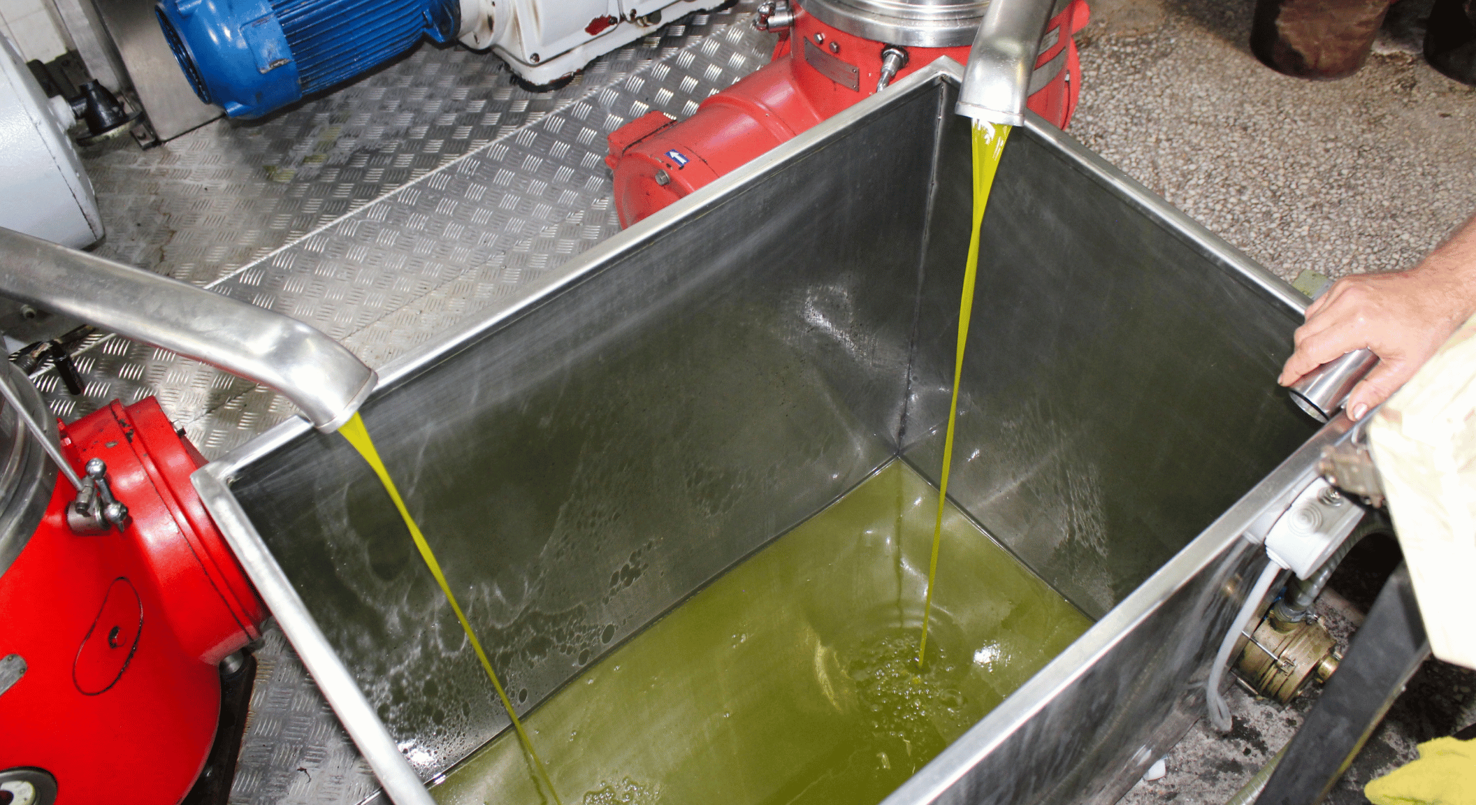 Olio contraffatto