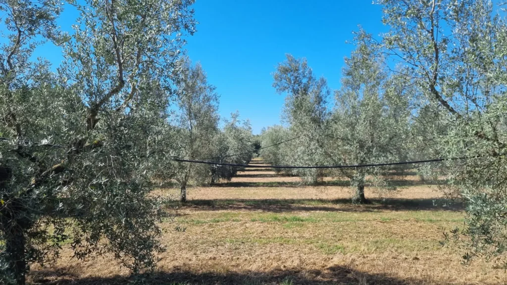 La Ramata